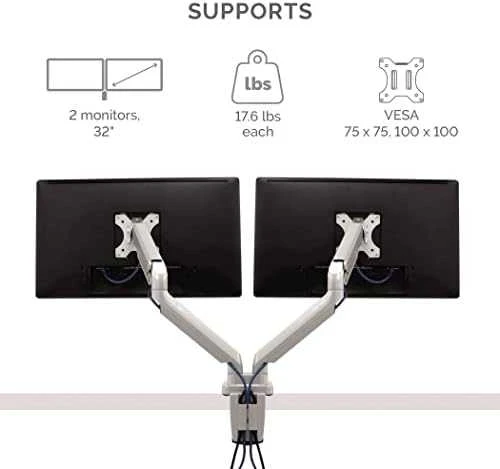 Laikiklis Fellowes Platinum ramię na 2 monitory Sidabrinė