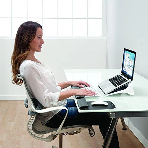 Nešiojamojo kompiuterio stovas FELLOWES I-SPIRE QUICK LIFT, balta/pilka sp.