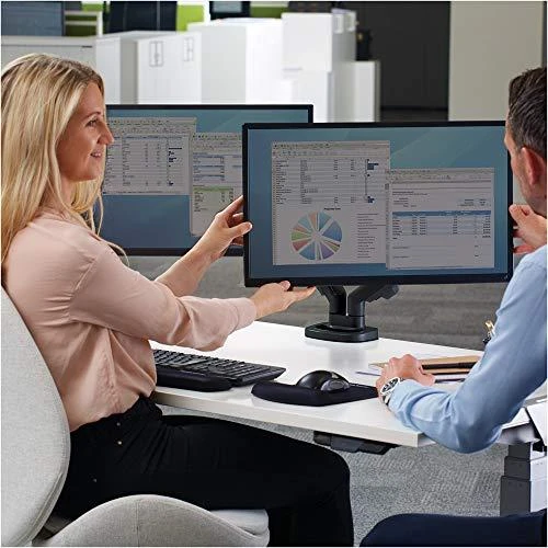 Laikiklis Fellowes 2 monitoriaus rankena EPPA(9683401) juoda