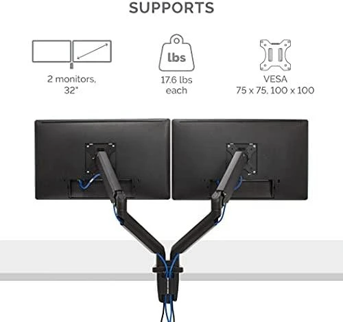 Laikiklis Fellowes | Platinum Series Dual Horizontal Monitorius Arm | 8042501 | Juodas