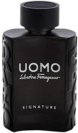 Kvepalai vyrams  Salvatore Ferragamo Uomo Signature EDP, 100 ml