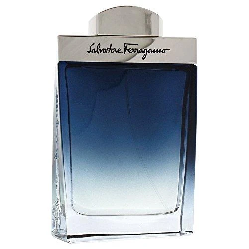 Kvepalai vyrams Salvatore Ferragamo F EDT 100ml