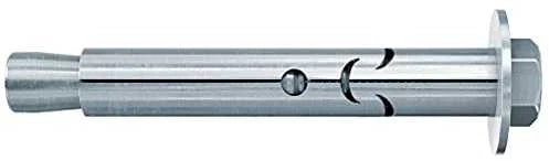 Fischer Ankeris su varžtu FSA S 12/10 12x70 mm