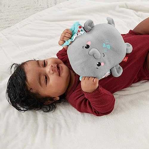 FISHER-PRICE Raminantis vibruojantis Drambliukas