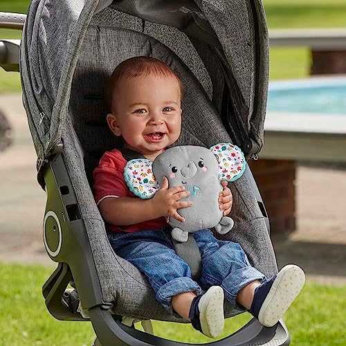 FISHER-PRICE Raminantis vibruojantis Drambliukas
