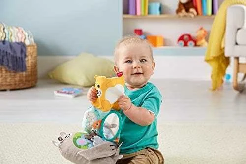 Fisher Price Migdukas Ūdrytė