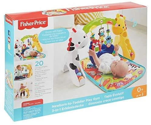 FISHER PRICE lavinamasis kilimėlis Toddler Play Zone, CCB70