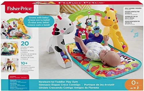 FISHER PRICE lavinamasis kilimėlis Toddler Play Zone, CCB70