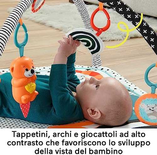 Fisher Price FP veiklos kilimėlis su šviečiančiu ir grojančiu gyvūnėliu