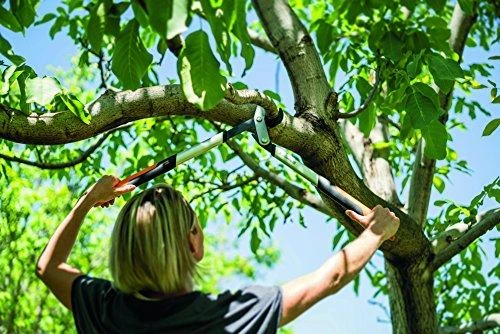 Fiskars PowerGear X sodo žirklės prasilenkiančiais ašmenimis LX94, M (1020187)