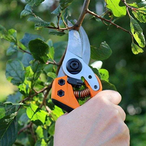 Fiskars Profesionalus sekatorius PB-8, M