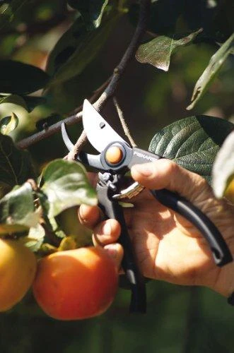 FISKARS Sekatorius profesionalus P90 (1001530)