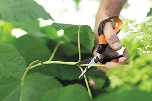 FISKARS NOŻYCZKI SP15 SOLID