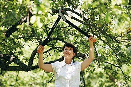 Fiskars Svertinės sodo žirklės atraminiais ašmenimis (L) 1000583