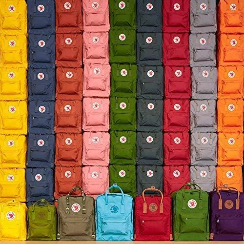 Carruzzo Fjällräven Kånken Mini Juodas vaikams miesto mokyklos kuprinė juoda (F23561-550)