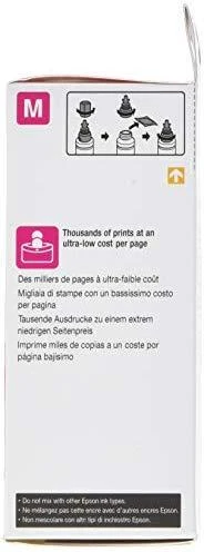 Epson T6643