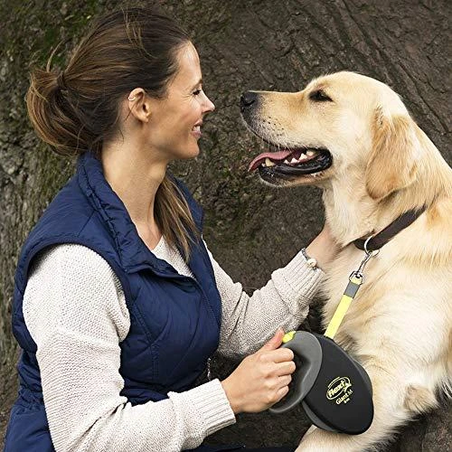 Flexi Giant Profesional Automatinis juostinis pavadėlis, 10 m / šunims iki 50kg / spalva: juoda ir pilka