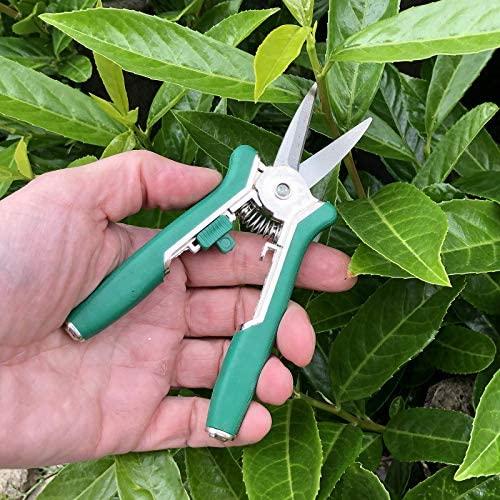 FLO SEKATOR 150mm /Rinkinys 2vnt..