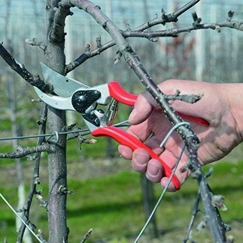 Sekatorius prasilenkiančiais ašmenimis Felco 2
