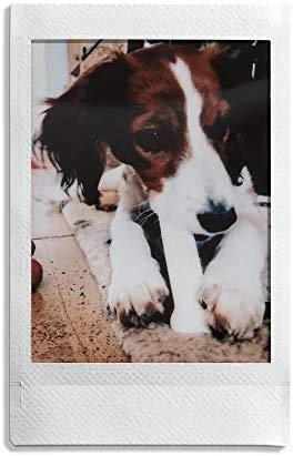 Fotojuostos Fujifilm Instax Film Mini