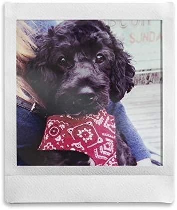 Fujifilm Instax Square Instant Film Quan