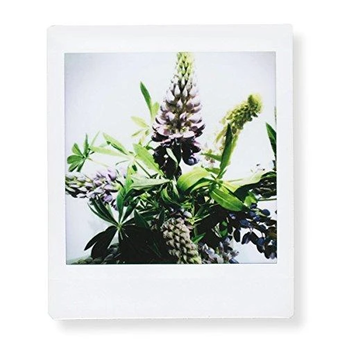 Fujifilm Instax Square Instant Film Quan