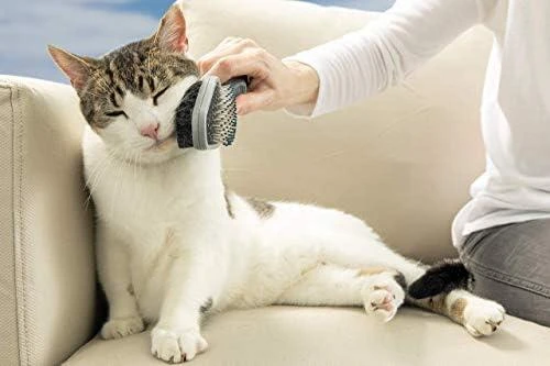 FURminator Dvigubas šepetys