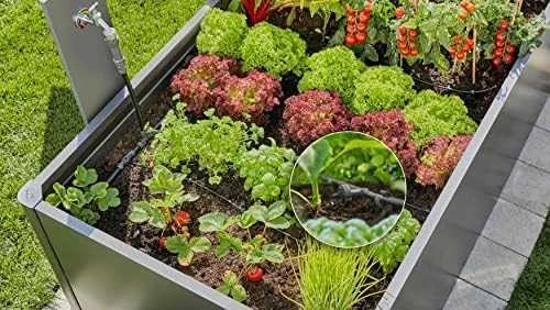 Gardena Pradinis rinkinys lysvėms/pakeltoms lysvėms (35 augalams)