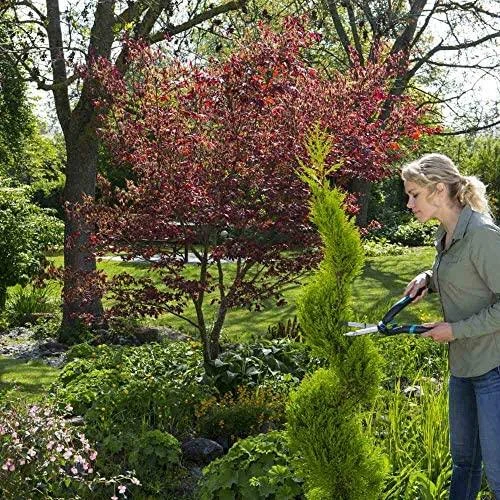 Gardena gyvatvorių žirklės PrecisionCut