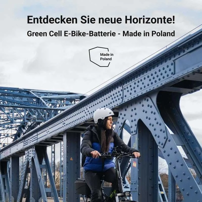 Green Cell Žalias Cell GC akumuliatorius, skirtas Ebike elektriniam dviračiui su įkrovikliu 36V 11.6Ah 417Wh Silverfish, skirtas Zündapp, Telefunken ir kt.