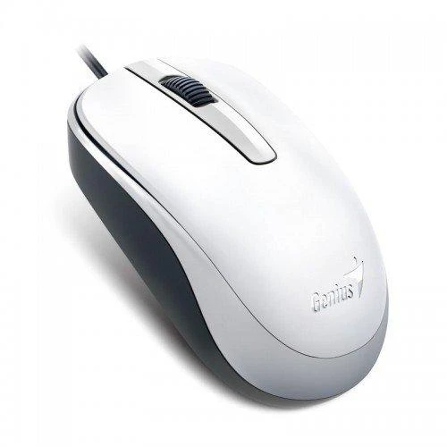 KYE 31010105107 Genius optinė pelė su laidu DX-120, Baltas