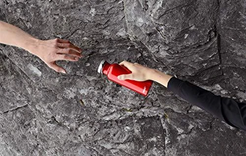 SIGG gertuvė Original | raudona