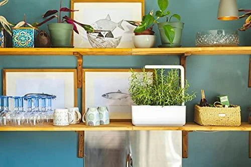 Išmanus namų sodas Click & Grow Smart Indoor Garden 3, baltas