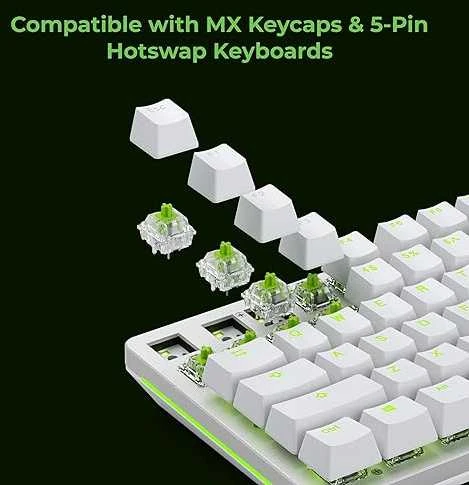 Glorious Raptor Switches, mechaniniai mygtukai, 5-pin, clicky, MX-Stem, 55g - 36 pieces
