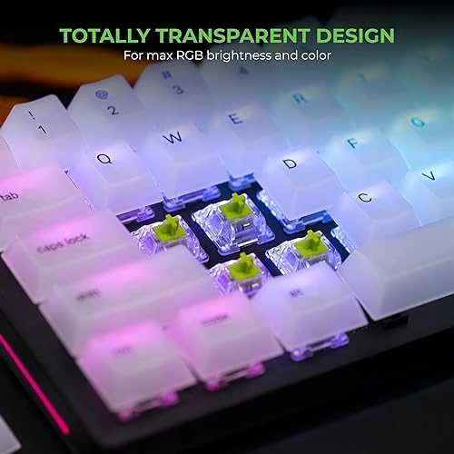 Glorious Raptor Switches, mechaniniai mygtukai, 5-pin, clicky, MX-Stem, 55g - 36 pieces