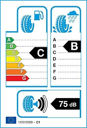 Continental 295/35R21 WINTERCONTACT TS 860 S 107W XL FR MGT