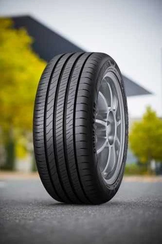 Goodyear Padangos EfficientGrip Performance 2 94 W XL (B A B 70dB)