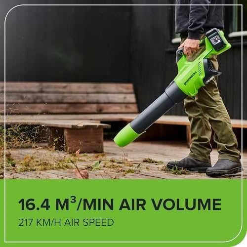 Akumuliatorinis lapų pūstuvas Greenworks GD24X2AB; 48 V (be akumuliatoriaus ir pakrovėjo)
