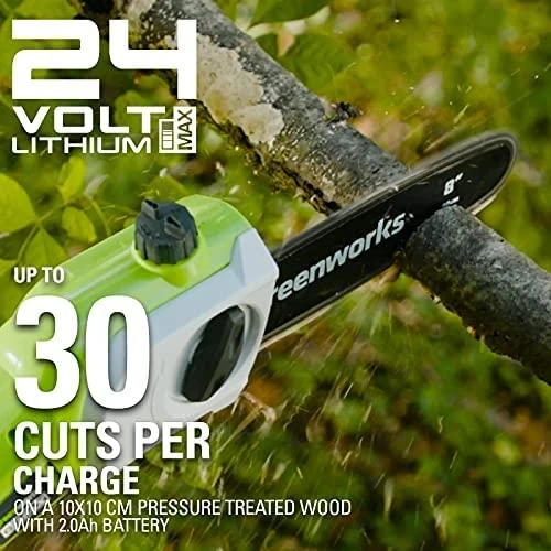 Greenworks G24PS20 aukštapjovė medžiams genėti 24V be akumuliatoriaus