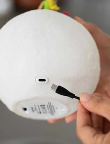 ERIK The Little Prince 3D lamp