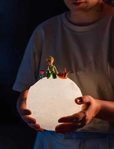 ERIK The Little Prince 3D lamp