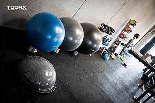 Gimnast. kamuolys 75cm TOORX PRO AHF-149