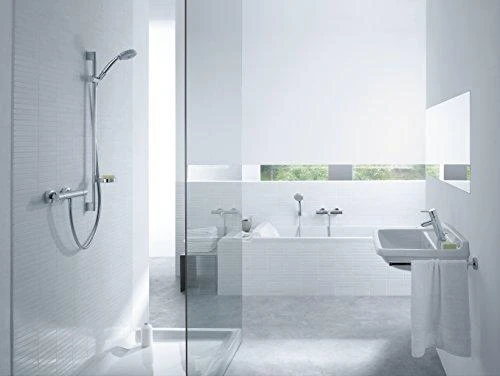Hansgrohe Termostatinis dušo maišytuvas Ecostat 1001 CL