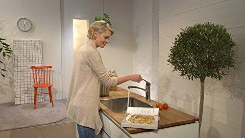 Hansgrohe „Focus 160“ virtuvinis maišytuvas, chromuotas
