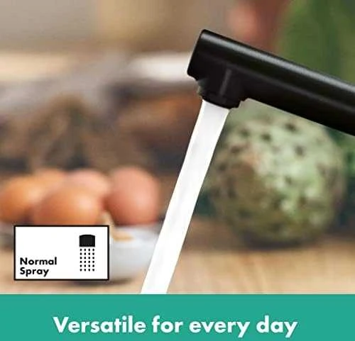 Plautuvės maišytuvas Hansgrohe Zesis M33 74802670