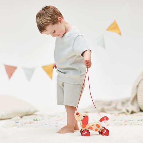 HAPE medinis šuniukas, E0347