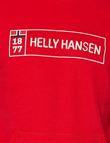 Helly Hansen 1877 džemperis su gobtuvu vyrams 53338-111