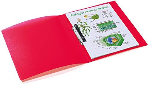 Laikiklis HERMA Ringbuch A4 uni raudona