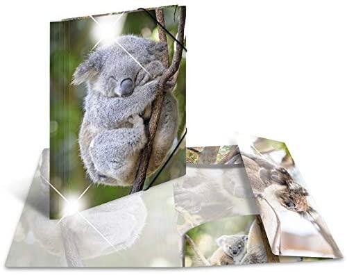 Herma Folder A4 blizgus koala
