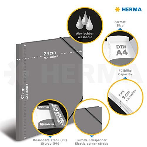 Herma Folder A4 blizgus koala